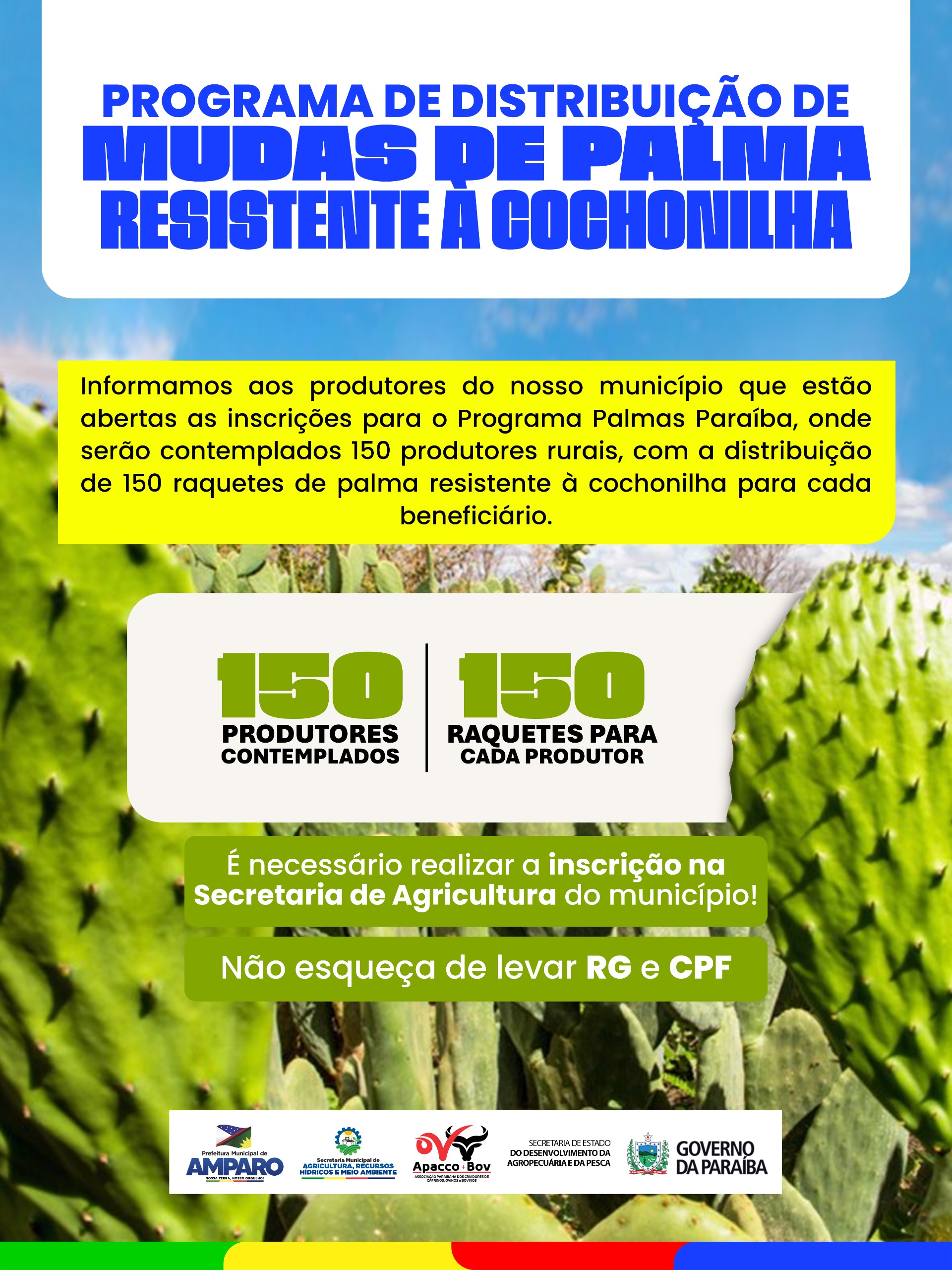 Programa Palmas Paraíba abre inscrições e vai beneficiar produtores rurais em Amparo